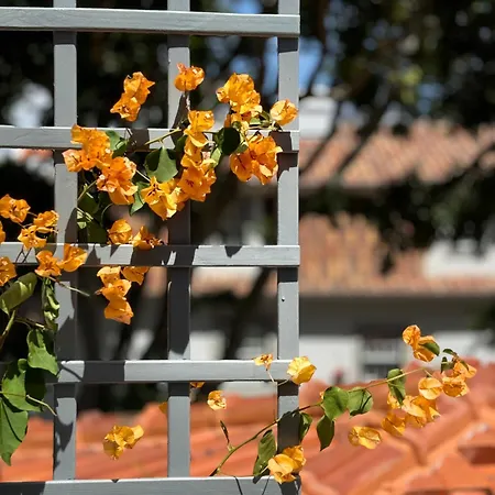 Jardim De