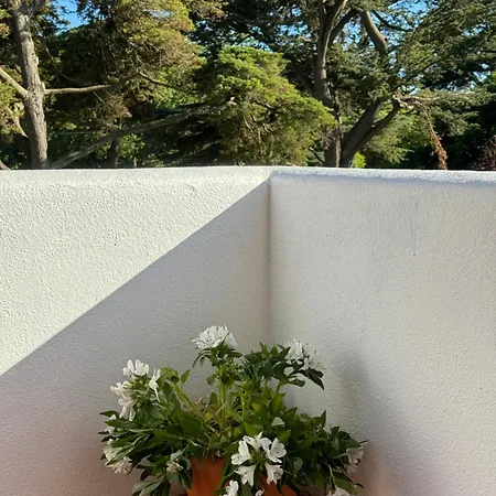 Jardim De Apartamento Cascais