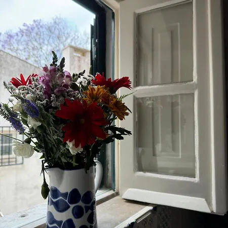 Jardim De 卡斯凯什