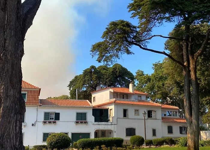 Jardim De