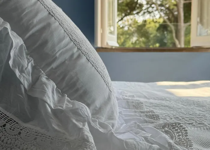 Jardim De 卡斯凯什