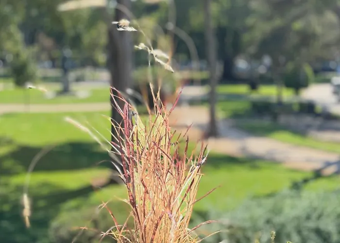 Jardim De Апартаменты Кашкайш