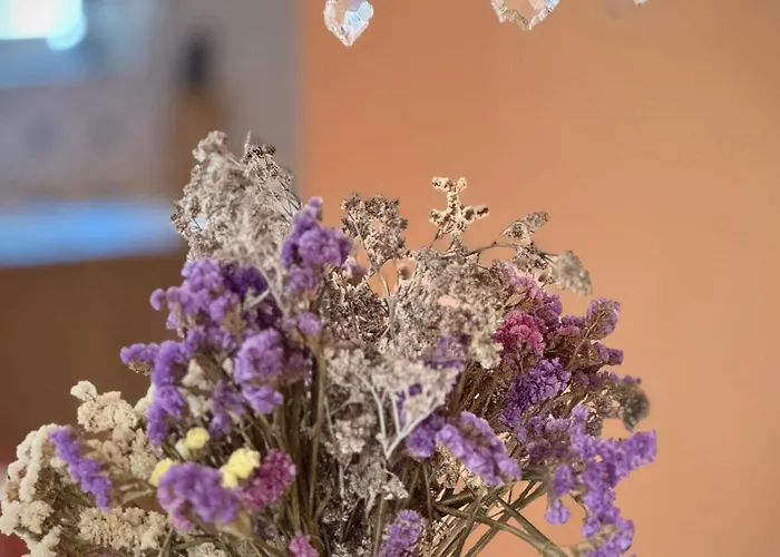 Appartement Jardim De