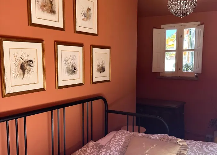 Jardim De Appartement *